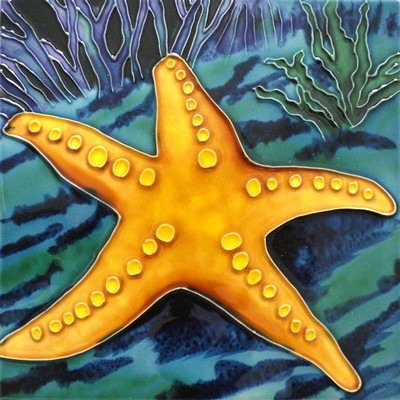 STARFISH TILE MAGNET 12/SET ($3.00/PC) 33092